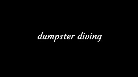 dumpster diving youtube