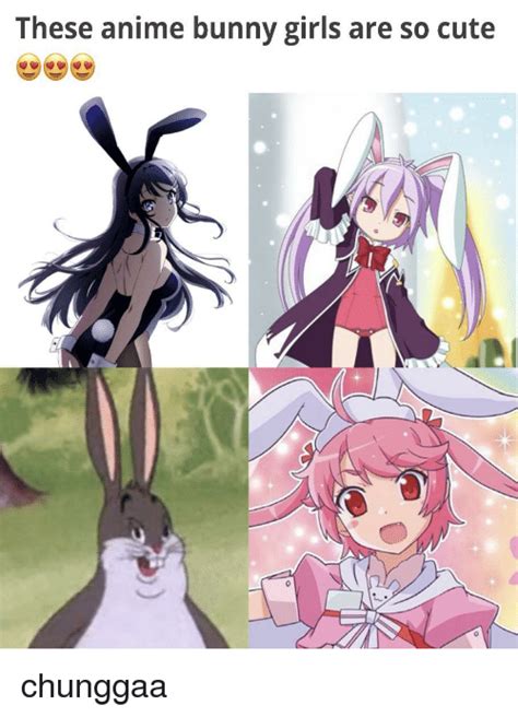 These Anime Bunny Girls Are So Cute Anime Meme On Meme