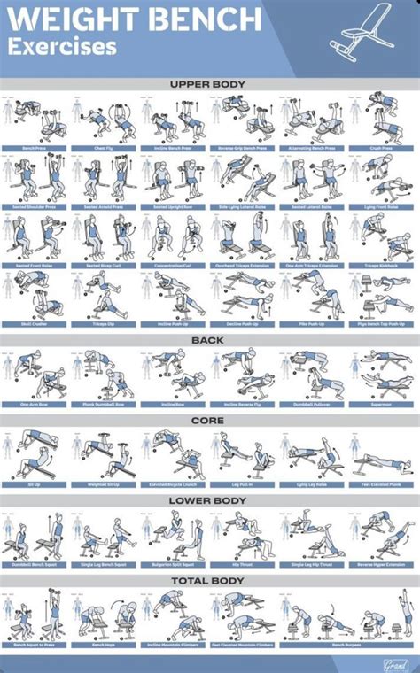 Weight Bench Workout Poster Bench Workout Full Body Workout Routine Workout Plan Gym