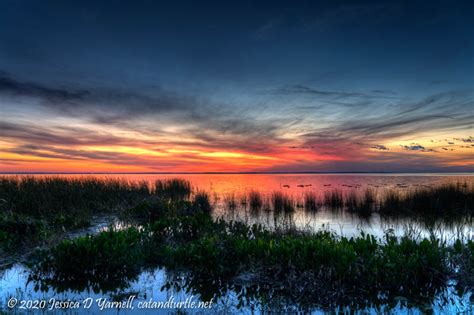 Lake Apopka Sunset From March Catandturtle
