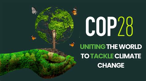 The Race To Cop28 What Steps Are Being Taken — Dvn