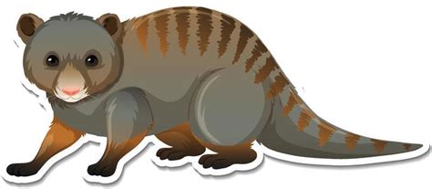 Mongoose Vector Art Icons And Graphics For Free Download