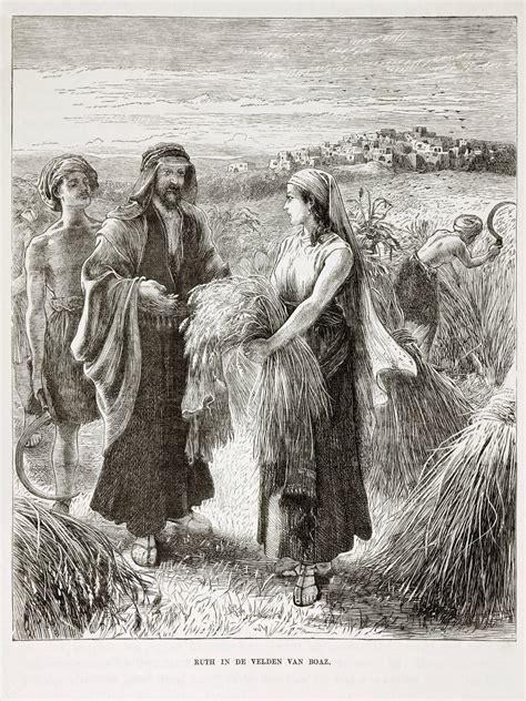 The Book Of Ruth A Story From The Bible