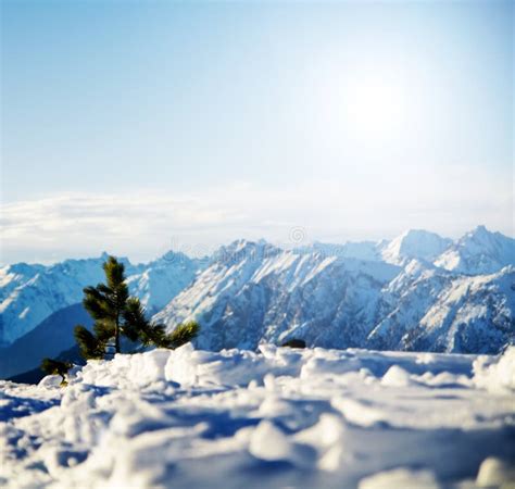 Mountain Snowy Winter Scenery Stock Image Image Of Frost Season 7702485