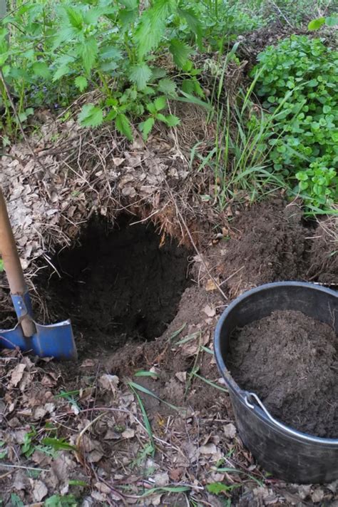 Trench Composting In The Winter How To Compost Without A Pile