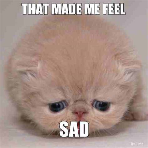 20 Crying Cat Meme That Are Way Too Adorable Kitten Vs Puppy