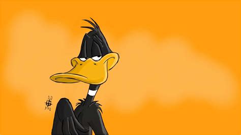 Daffy Duck Wallpapers Top Free Daffy Duck Backgrounds Wallpaperaccess
