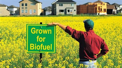 3 Types Of Biofuels Advantages And Disadvantages Linquip