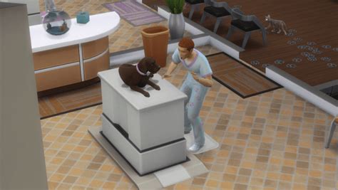 The Sims 4 Cats And Dogs Guide Levelskip
