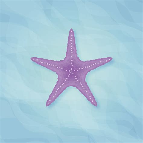 Best Purple Starfish Illustrations Royalty Free Vector Graphics And Clip