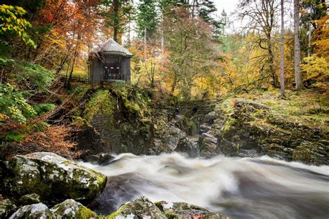 Ancient Woodland And Forests In Scotland Visitscotland