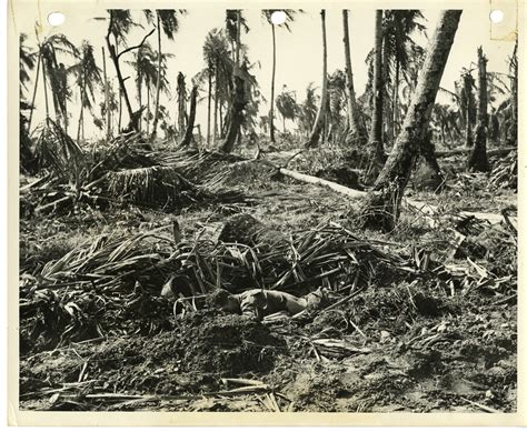 A Dead American Soldier In A Ditch Among Destroyed Vegetation At