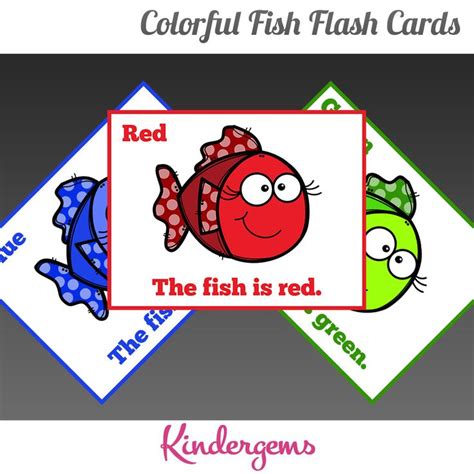 Colorful Fish Flash Cards Flash Cards Free Flashcards Colorful Fish