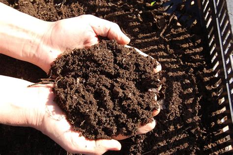 How To Compost Goat Manure Learn How To
