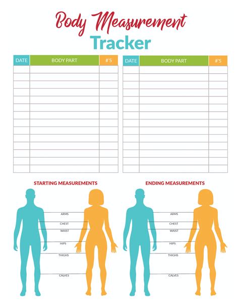 Printable Body Measurement Chart