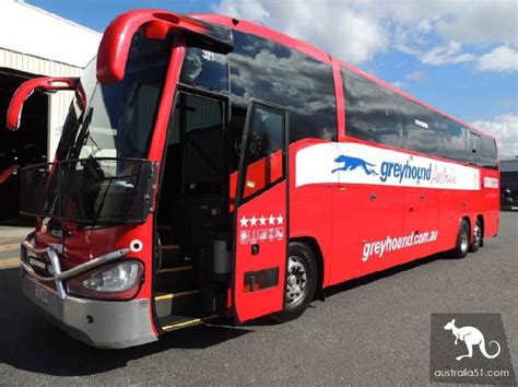 Brief Introduction To Greyhound Australia Greyhound Bus With Copper