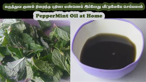 DIY Peppermint oil at home மரததவ கணம நறநத பதன எணணய