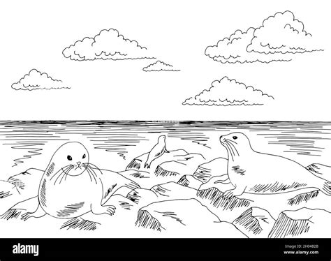 Seal Cliff Sea Coast Graphic Black White Landscape Sketch Illustration