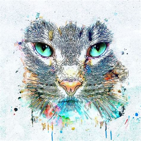 Free Image On Pixabay Cat Look Eyes Art Watercolor