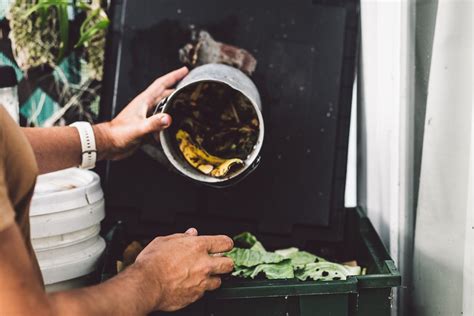 Composting At Home Is Easy This Is Everything You Need To Know Lagom