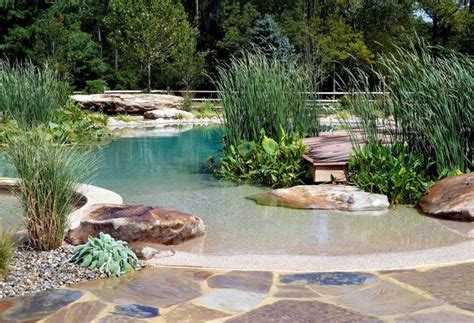 Natural Swimming Ponds Include Live Plants Eschew Chlorine