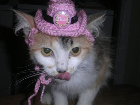 Pink Diva Cowboy Hat For Dogs Or Cats X Small Or Small