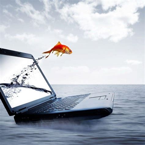 We researched the best laptop stands on the market and tested nine of the top contenders. 10 Best Wallpapers For Laptops Hd FULL HD 1080p For PC ...