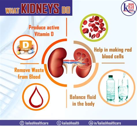 Can You Improve Your Kidney Function