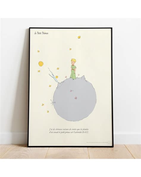 Affiche Le Petit Prince Sur B612 50x70cm