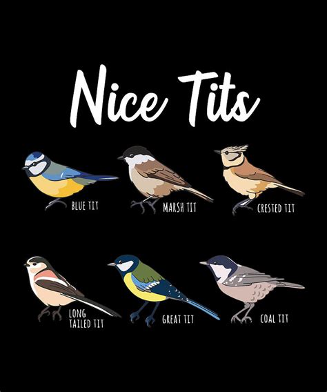 Nice Tits Funny Bird Birdwatching T Digital Art By Philip Anders