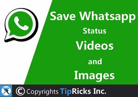* share status video on other chat apps. How To Download Or Save Whatsapp Status Video and Image To ...