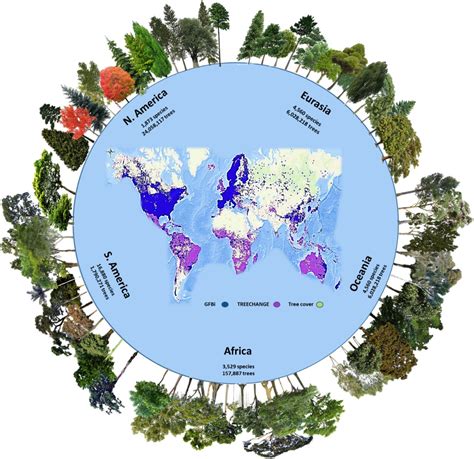 More Than 9000 Tree Species Await Scientific Description The