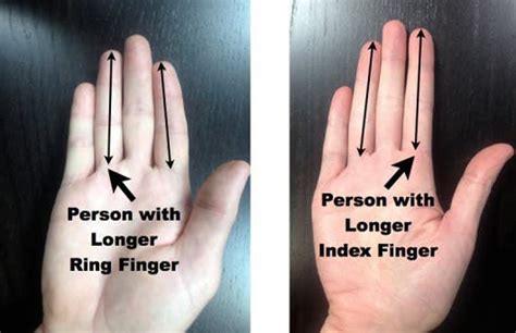Length Of Ring Finger Testosterone A Longer Ring Finger Results In