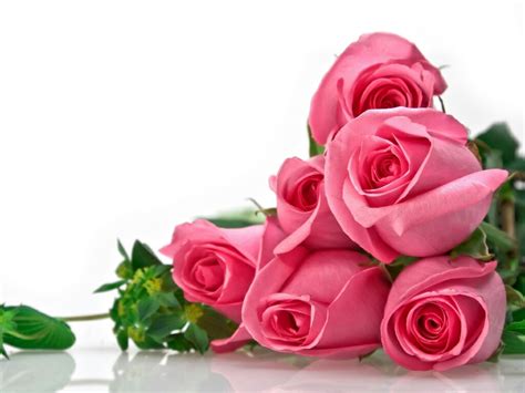 Flowers For Flower Lovers Flowers Wallpapers Beautiful Roses Backgrounds