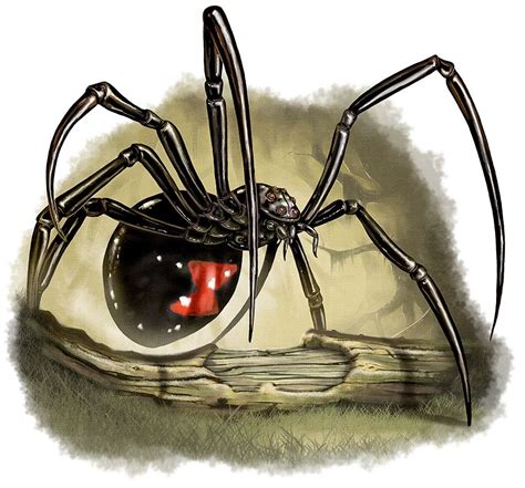 Giant Black Widow Spider Drawing Spider Art Black Widow Spider