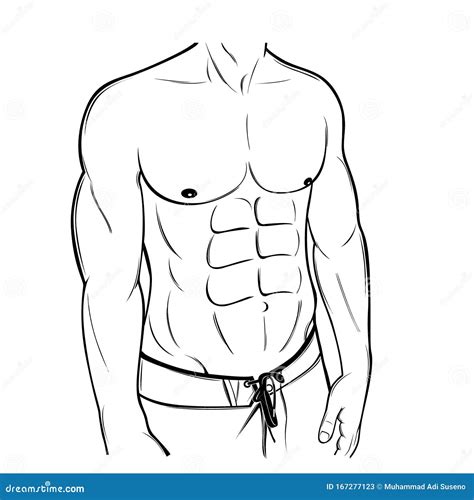 Muscular Six Pack Male Body Line Art Illustration Cartoon Vector CartoonDealer Com