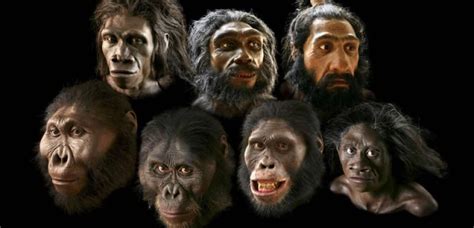 Discover The Fascinating Reconstructions Of Early Humans