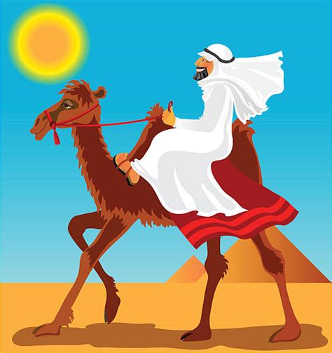 Man Riding A Camel Cartoon Illustrations Royalty Free Vector Graphics