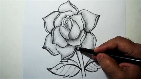 Pencil Rose Drawing Easy Hisapink