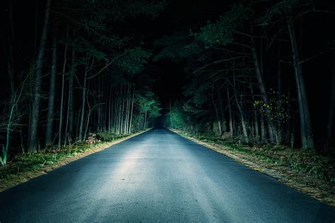 42300 Dark Forest Road Stock Photos Pictures And Royalty Free Images