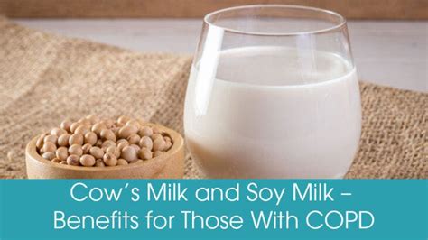 Cow Milk And Soy Milk How Milk Affects People With Copd