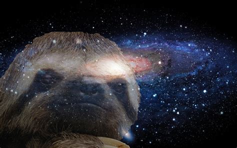 Astronaut Sloth Wallpaper 1920x1080