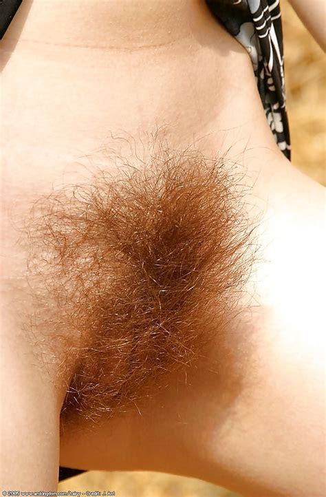 This Is What A Real Hairy Pussy Looks Like Photo X Vid Com