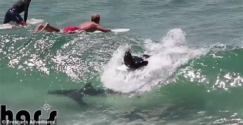 Video Shows The Moment A Shark Swims Underneath Surfers At Byron Bay