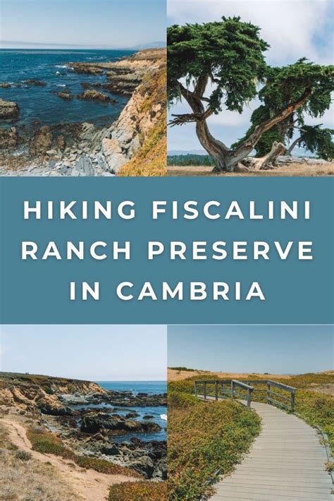 Fiscalini Ranch Preserve In Cambria Central Coast California Cambria