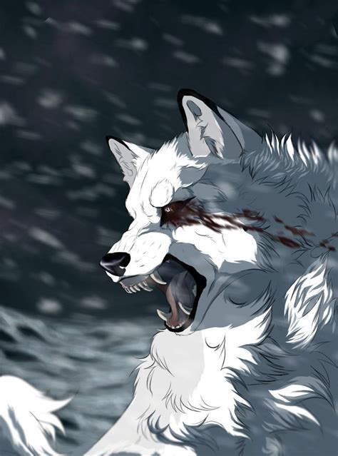 White Wolf Anime White Wolf White Wolf Anime Wolf Portrait