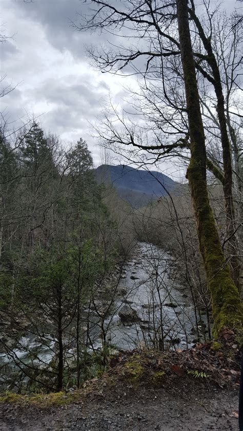 Greenbrier Is Awesome In Great Smoky Mountains National