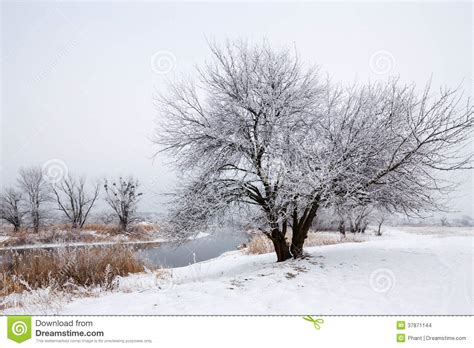 Winter Landscape Stock Images Image 37871144