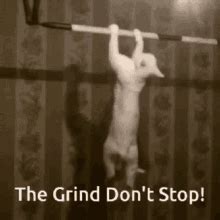 Grind Dance Grind Dance Sexy Discover Share Gifs