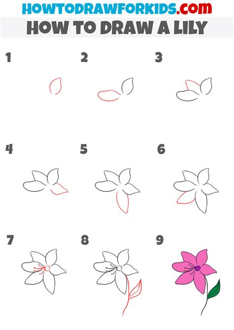 How To Draw A Lily Step By Step Easy Drawing Tutorial For Kids